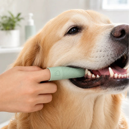 Dog Toothbrush 360° Cleaning Finger Toothbrush for Dogs Food Grade Silicone Dog Finger Toothbrush for Dogs Cat Dental Care