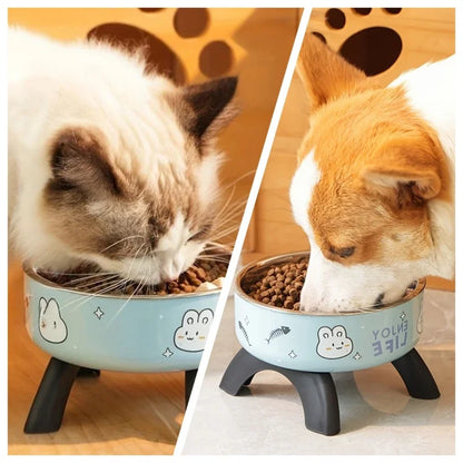 Stainless Steel Pet Bowl – Anti-Tip Elevated Design with Non-Slip Silicone Base & Chew-Proof Edge for Small Cats/Dogs Feeding